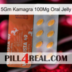 5Gm Kamagra 100Mg Oral Jelly 43